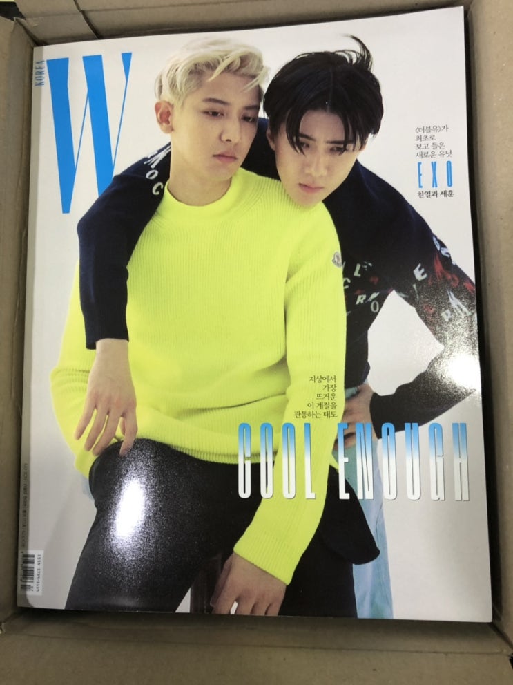  [구매후기] 더블유 W 7월호 B타입