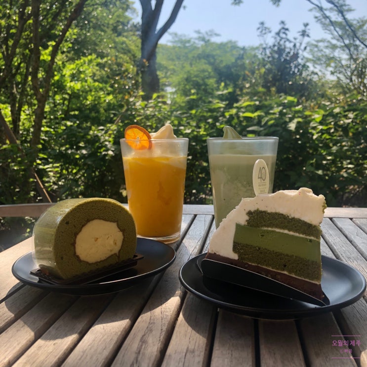  [오월의제주] 1일차 : 오설록 티 뮤지엄