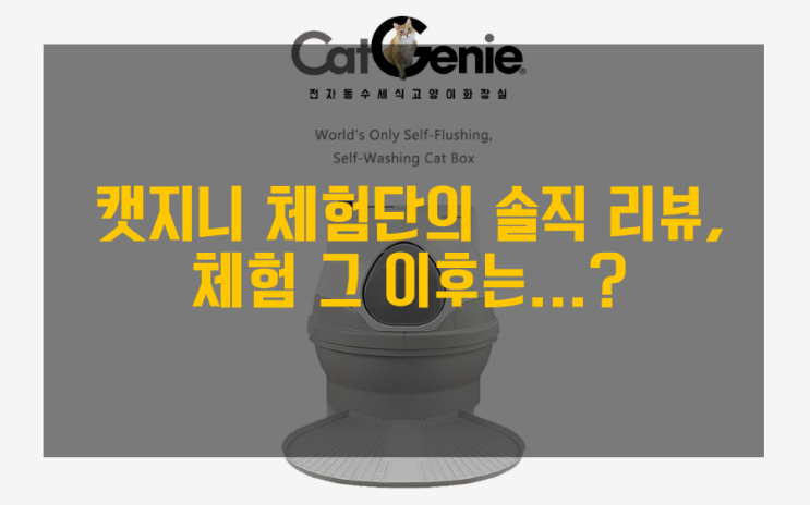  [체험단 리뷰] 캣지니 체험단의 솔직 리뷰, 체험 그 이후는...? (캣지니 후기, 캣지니 체험단 인터뷰)