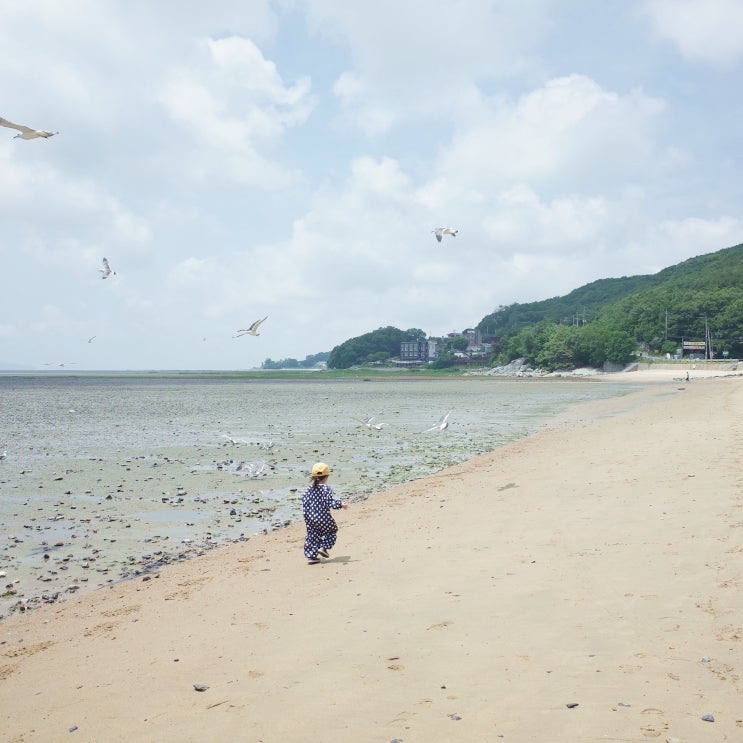  강화도 가볼만한곳 동막해변 아이와 함께~