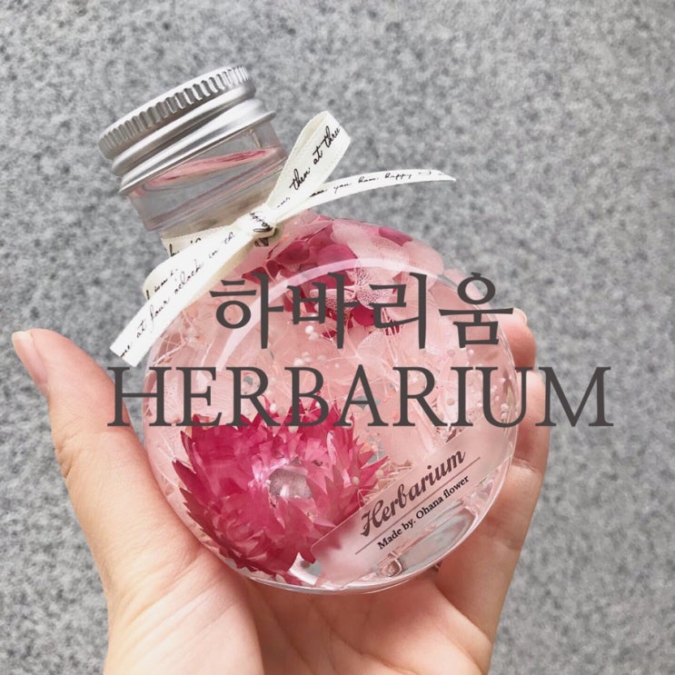  [부산하바리움] 커스텀오더 하바리움 / 일본하바리움협회 JHA 인정강사 오하나플라워