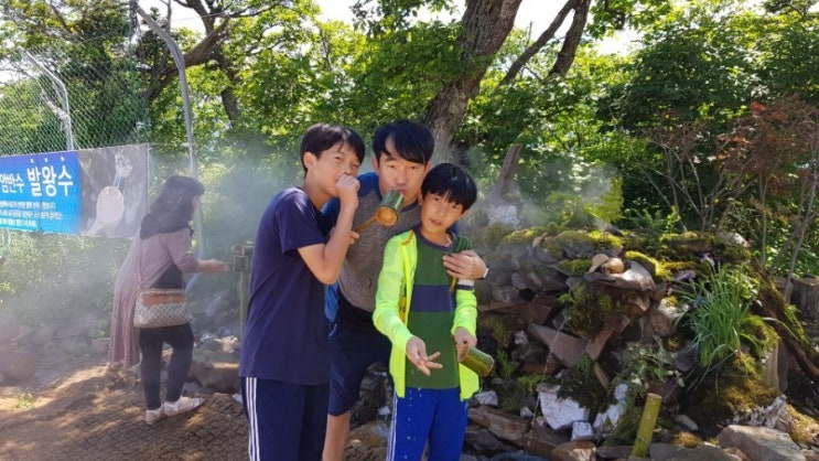  19년 용평리조트 발왕산 발왕수 등