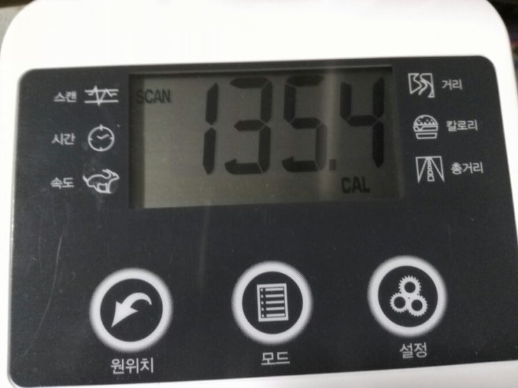  멀티플레이어