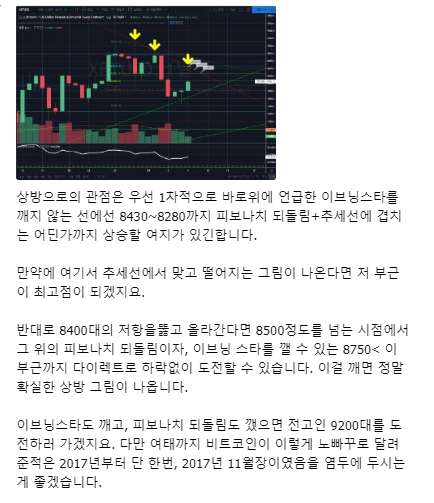  코인 매매전략 [ 헷징, 양방향 ]