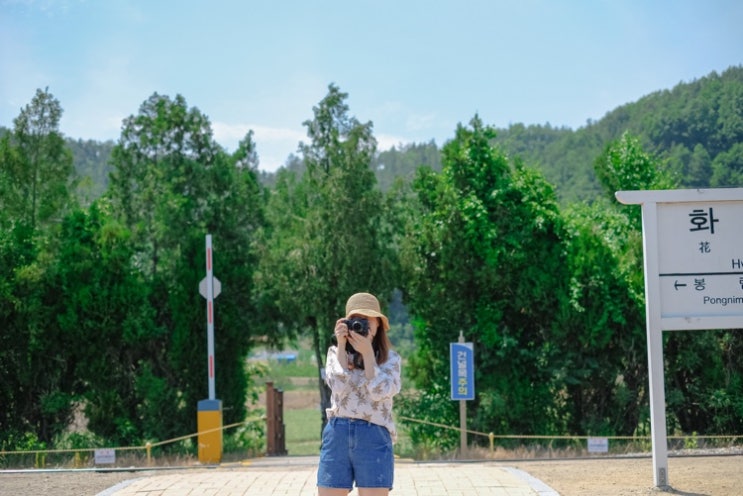  군위 여행 (리틀포레스트 촬영지)