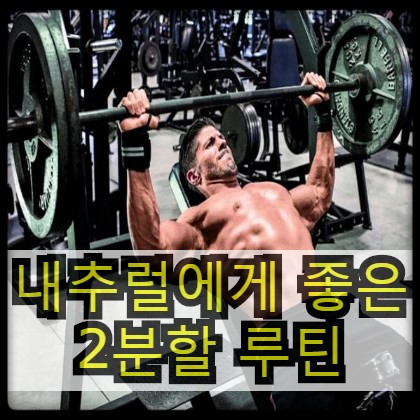  [운동루틴] 2분할 루틴 - 보디빌딩식