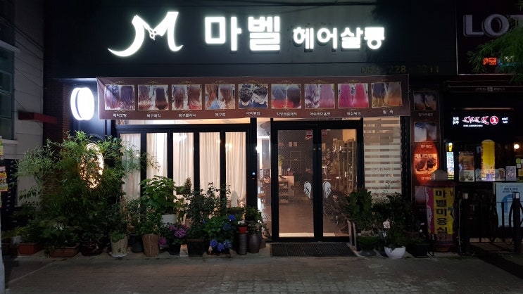  오죽, 꽃치자, 목수국, 르레브 입양, 미용실 테라스 화분 인테리어 완료