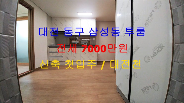  (대전 동구 삼성동) 대전천 인근에 있는 신축 첫입주! 저렴한 전세 투룸입니다 ^^