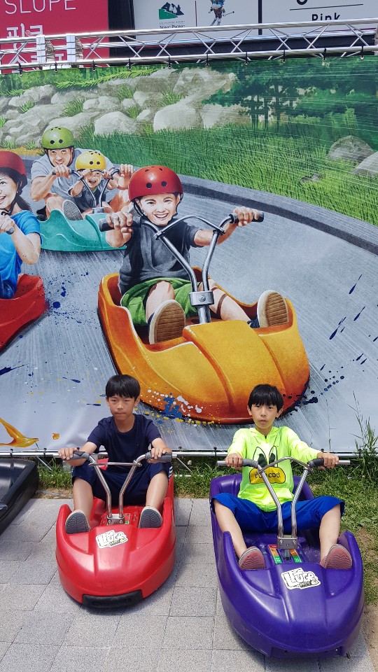  19년 6월 21일 용평리조트, 발왕산케이블카, 피크아일랜드. 루지 등등