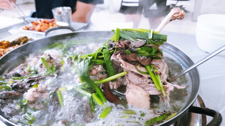  대구삼계탕맛집 송해와오리백숙, 오리백숙 후회없는선택!