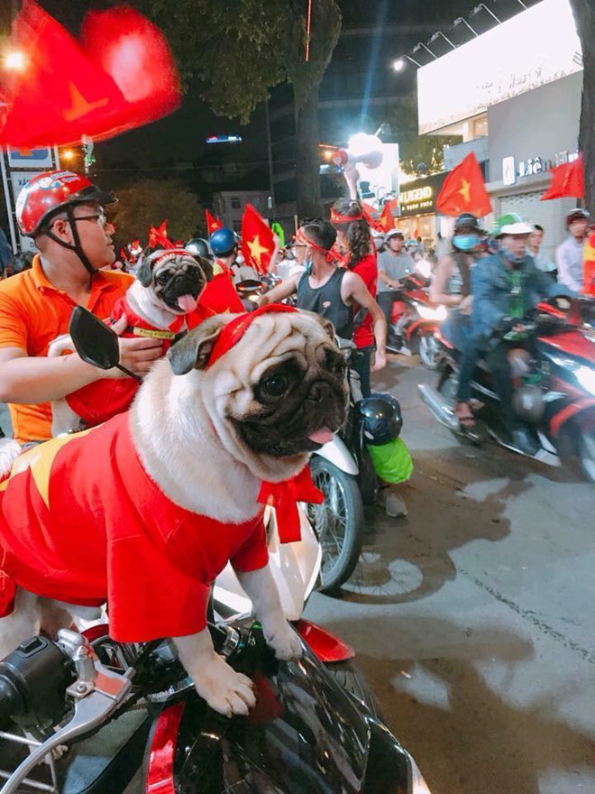  베트남 짱이가 알려주는 베트남 축구 열풍