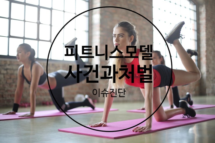  유명 여성 피트니스 모델 폭행, 사건 정리, 폭행죄와 상해죄의 차이와 처벌에 대해