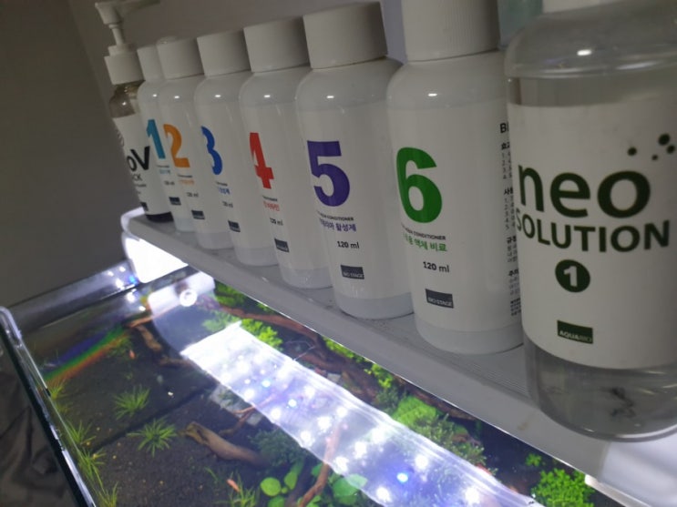  neo 세트