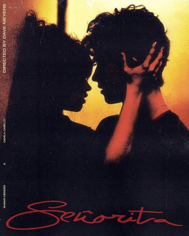  Shawn Mendes (숀 멘데스) & Camila Cabello - Señorita (senorita 세뇨리타) 뮤비, 가사, 해석, 설명 (주의 - 선정적)