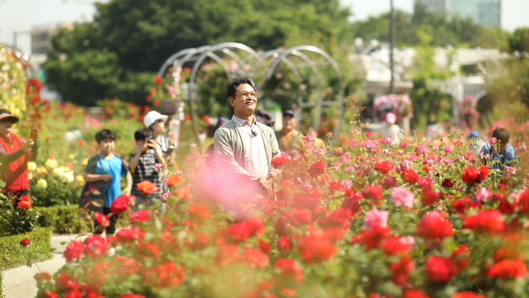  <김영철의 동네 한 바퀴> 향기롭다 장미꽃길 - 서울 중랑구 망우동, 면목동