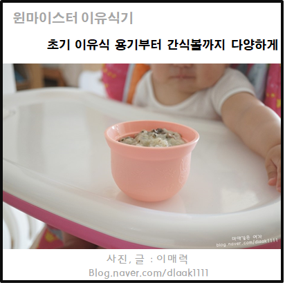  윈마이스터 이유식기 :: 초기 이유식 용기부터 간식볼까지 다양하게