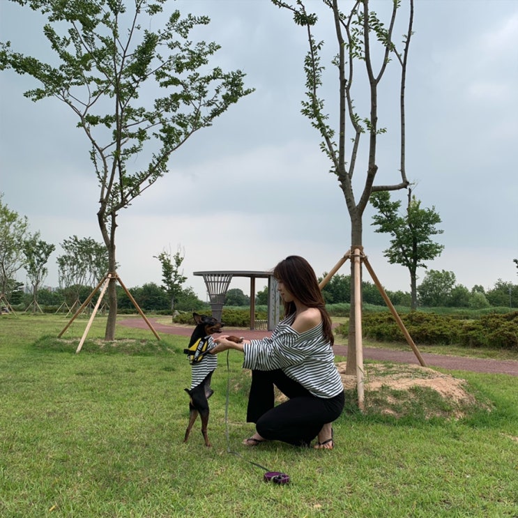  모코블링 모코댕댕에서 강아지커플룩️