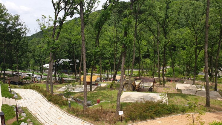  공주산림휴양마을 공주맛집 고가네칼국수 끝내줘요!