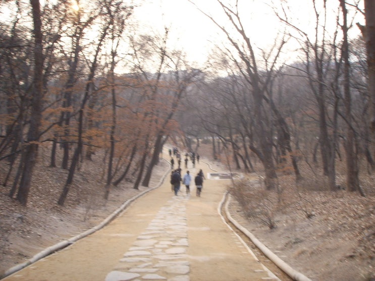  <가을 길> ......인생의 가을