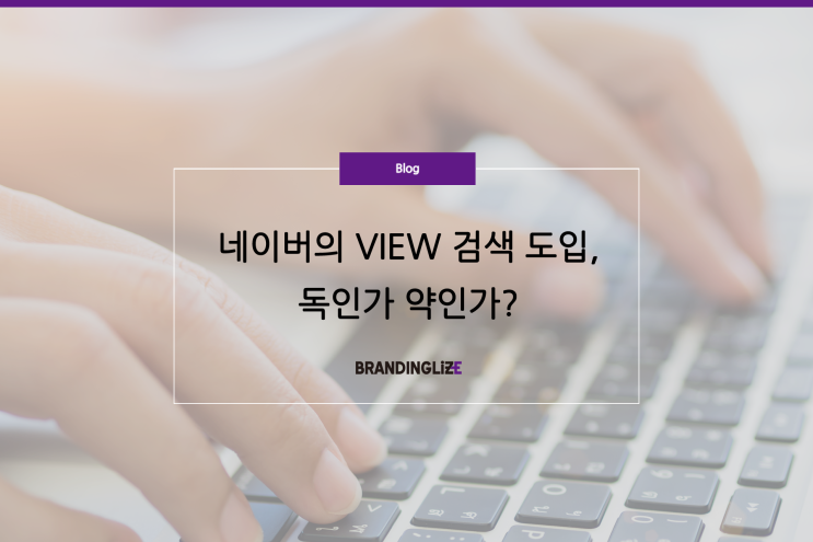  네이버의 VIEW 검색 도입, 독인가 약인가?