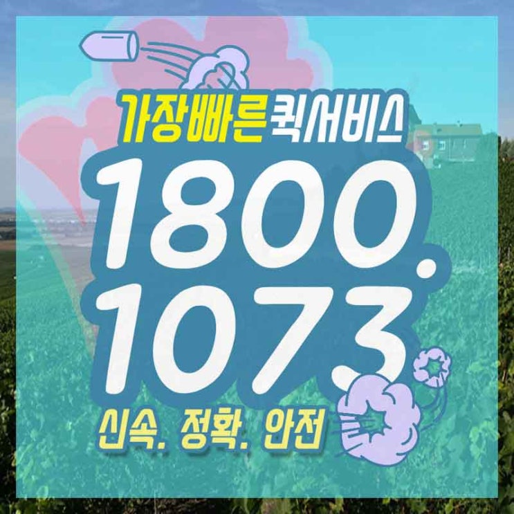  대흥동퀵서비스 운서동꽃배달 걱정 해결해볼까요