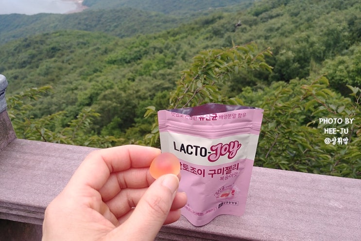  건강한 간식 유산균젤리 락토조이 역시~