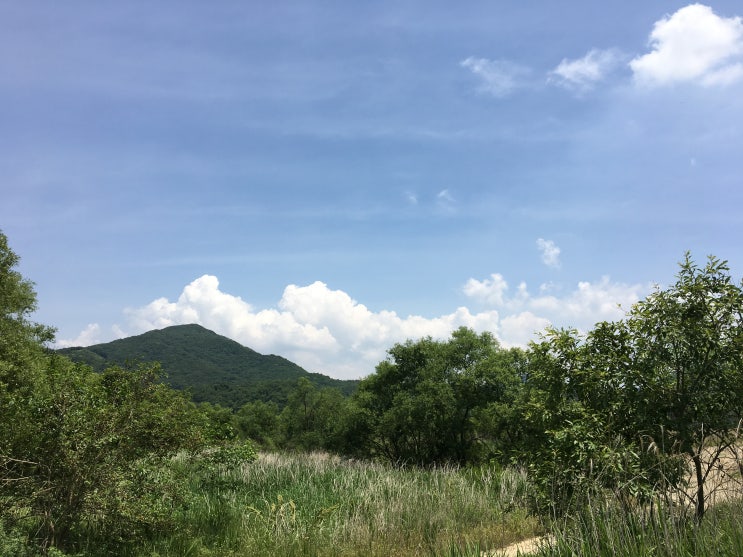  2019년차박캠핑-비내섬[충주]