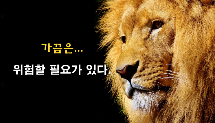  가끔은 위험할 필요가 있다.