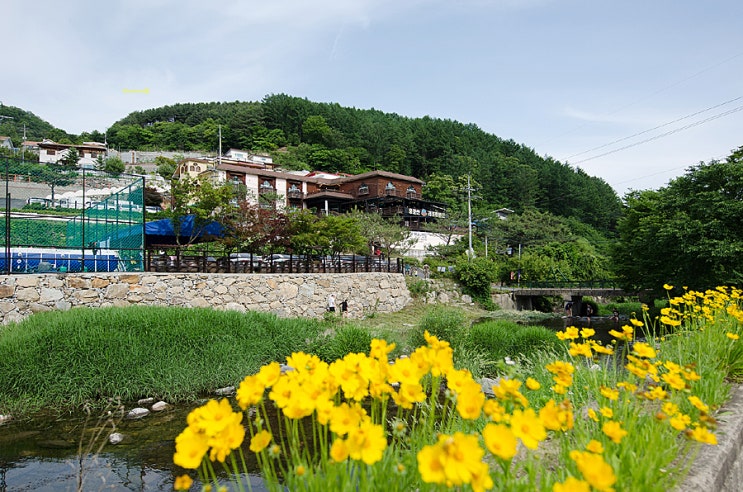  양평 가족펜션,가족나들이 훌훌~용문산리조트 펜션
