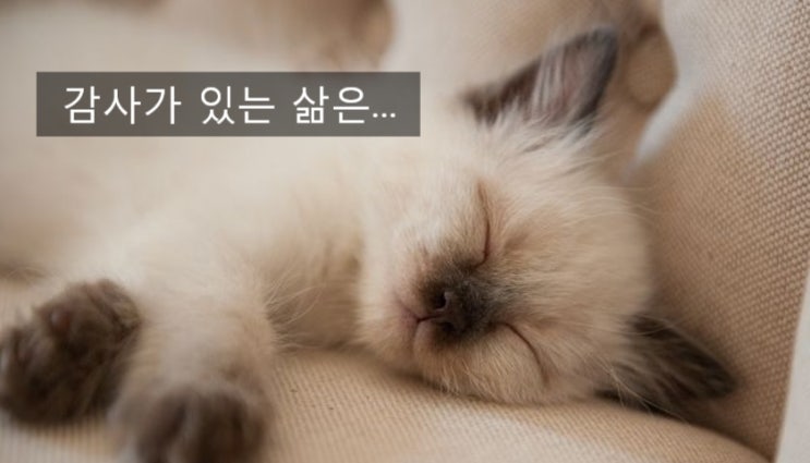  감사가 묻어 나는 삶이란?