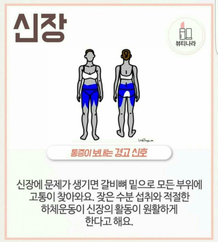 우리몸의 통증이 보내는 경고신호