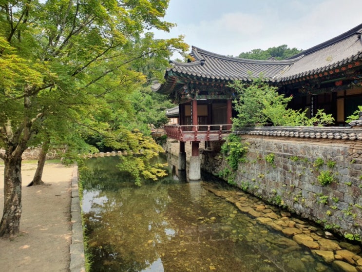  삼보사찰 : 송광사 나들이