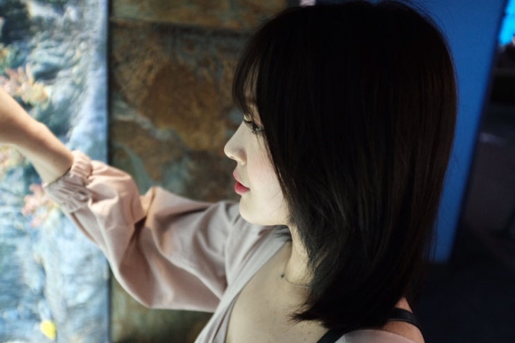  190622 롯데월드몰 아쿠아리움