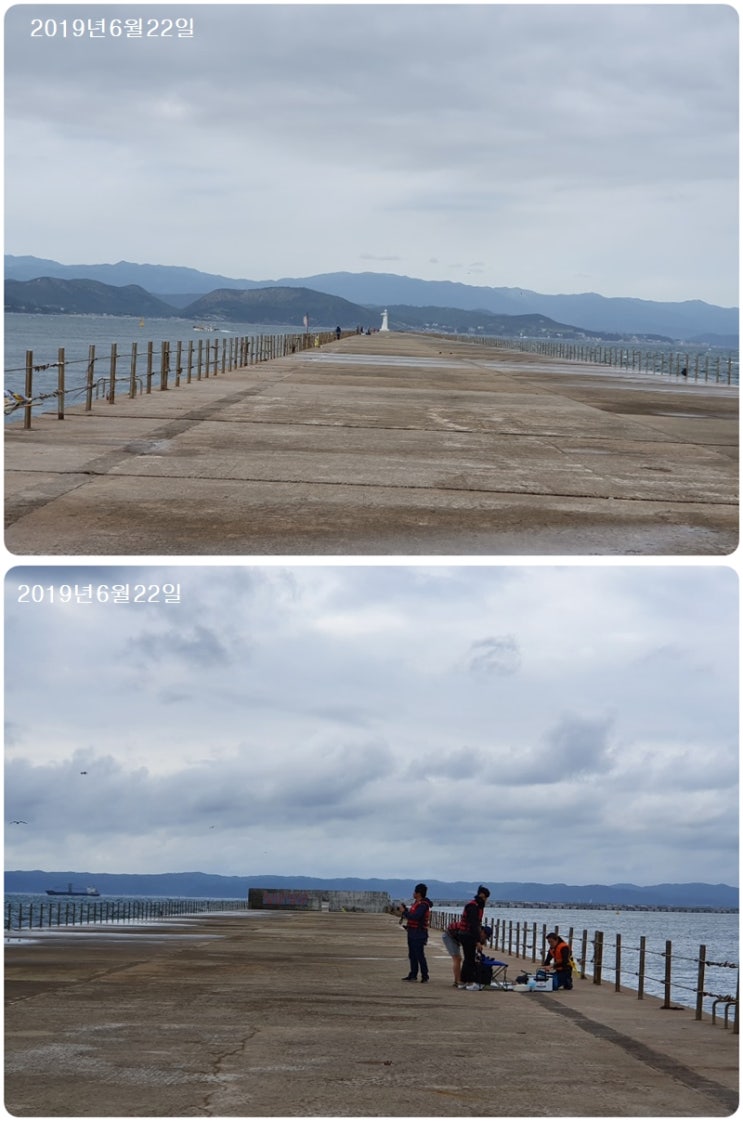  포항영일 신항만 조황 없음, 바람 조금 파도 쫌 거침요~~ 
