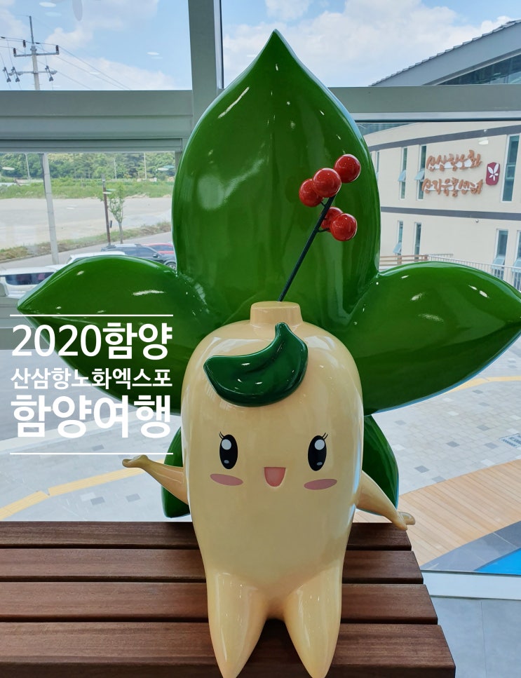  2019함양산삼축제 2020함양산삼항노화엑스포 함양여행
