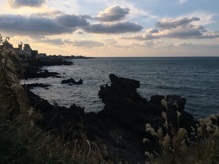  2015.10.31 제주 첫날
