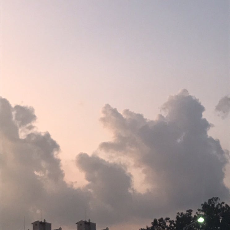  AM 03 : 14
