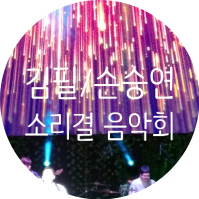  동탄복합문화센터 소리결음악회 김필 손승연 공연관람 후기