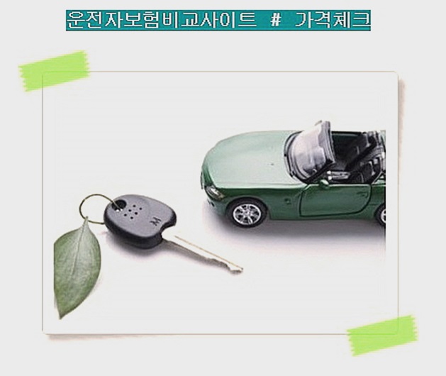  운전자보험자동차보험차이 절감하기 