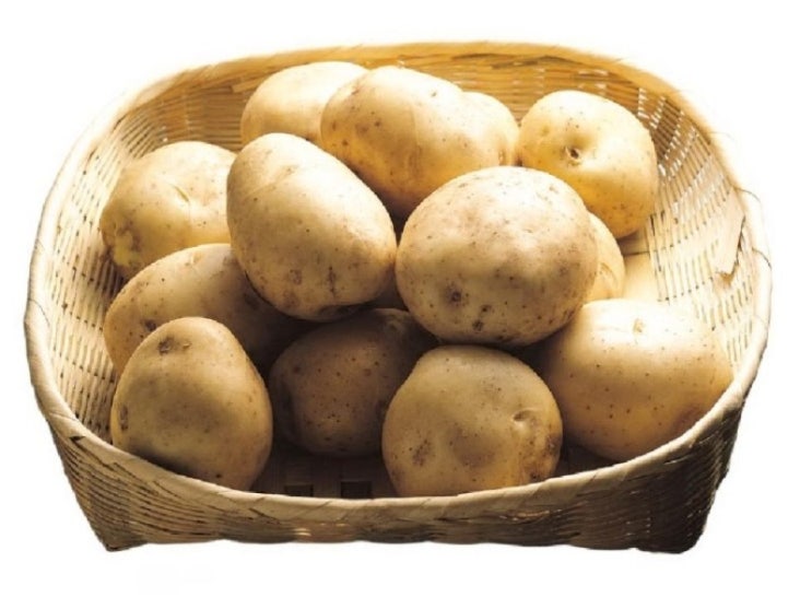 감자가 우리 몸에 좋은 8가지 이유