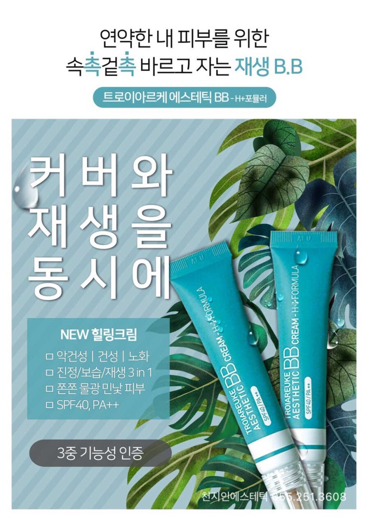  트로이아르케 에스테틱 BB H+
