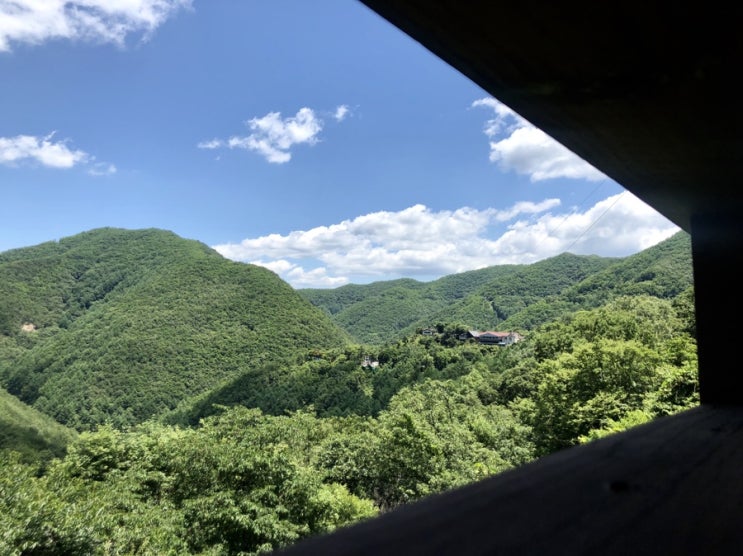  [19.06.17-19.06.23] 개강 열여섯째 주