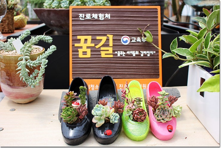  충주버스여행 치유의숲 사과한과 다육이 정크아트체험