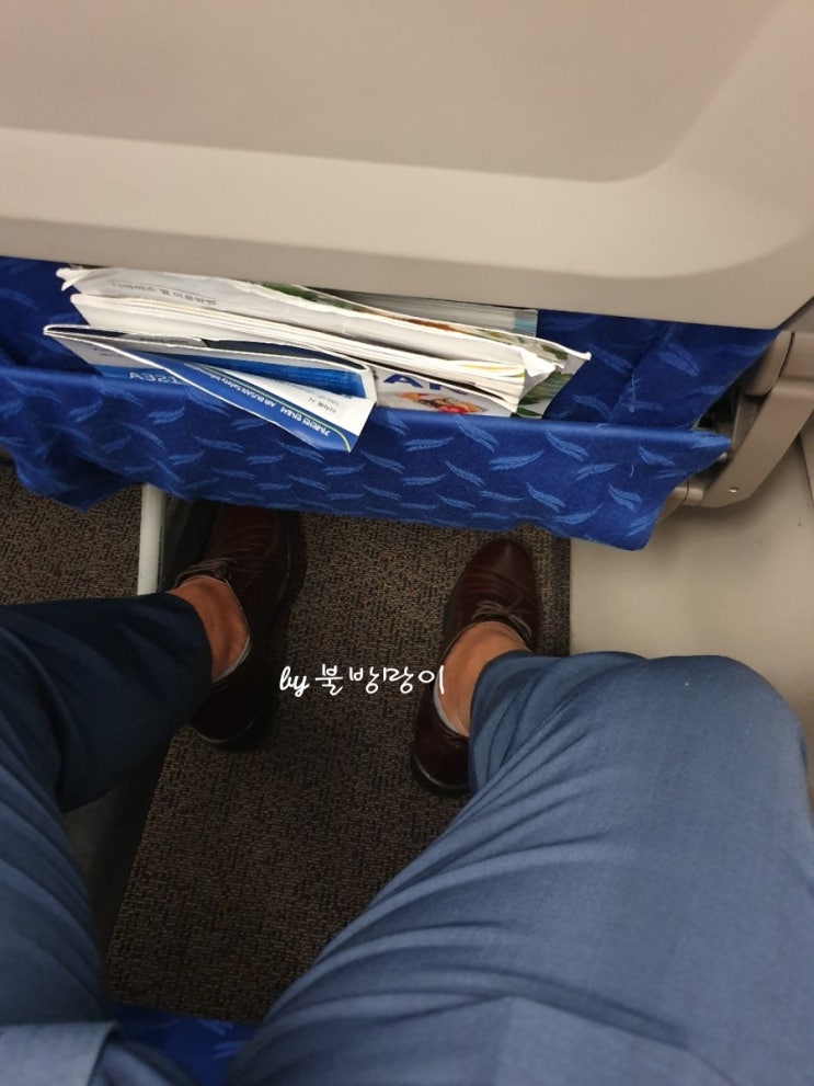  < 유명BJ 들 성희롱이나 류세비는 또 뭥미? > 얼굴 알려진 이들의 물의, 결국엔 본인들 손해일텐데 마인드컨트롤 부족 by 불방망이