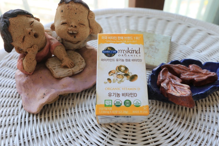  비타민D 효능 알아보고 유기농 마이카인드 구입