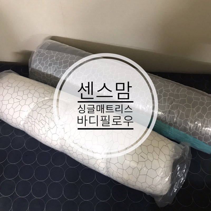 센스맘 싱글 매트리스 바디필로우 직접 구매 솔직 단점 후기