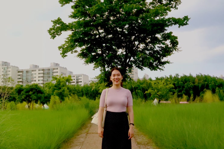  울산 가볼만한곳 태화강 십리대숲 산책코스로 추천