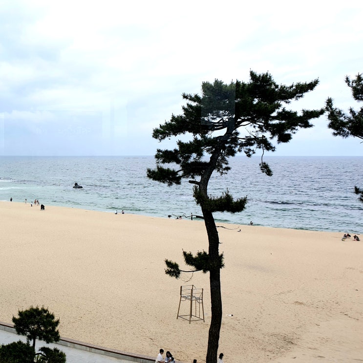  펜션입지, 바닷가 비싼 땅을 사는 이유