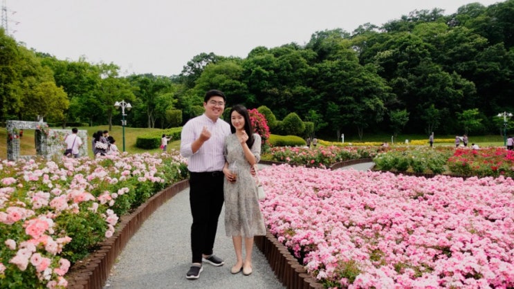 울산대공원 장미대축제/창원 용지공원(19.6/1~6/2) 울산대공원 장미대축제/창원 용지공원(19.6/1~6/2)