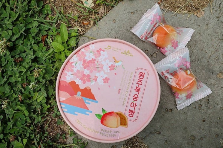 원주 소금산 출렁다리 카페 라비베이커리 , 원주복숭아빵